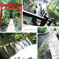 お鷹の道・真姿の池湧水群の写真・動画_image_95389