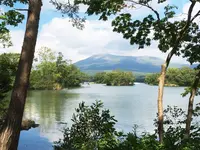 大沼国定公園の写真・動画_image_95441