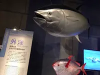 国立科学博物館の写真・動画_image_95510