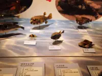 国立科学博物館の写真・動画_image_95513