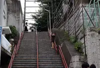 須賀神社の写真・動画_image_95616