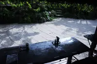 琉球茶房 あしびうなぁの写真・動画_image_96038