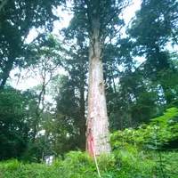 御形神社の写真・動画_image_96158