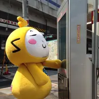 おずっちょの写真・動画_image_96307