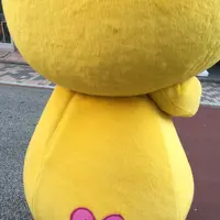 おずっちょの写真・動画_image_96308