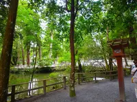 伊勢神宮の写真・動画_image_96422
