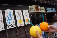 おかげ横丁の写真・動画_image_96423