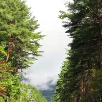 木曽駒高原の写真・動画_image_96476