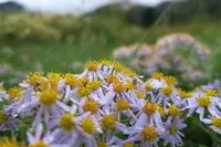 ゲストハウス ヒルトップの写真・動画_image_96484