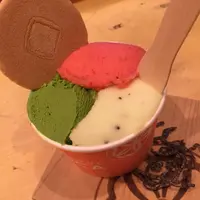 【閉店】ジャパニーズアイス 櫻花（JAPANESE ICE OUCA） の写真・動画_image_96529