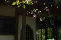 常楽寺の写真・動画_image_96568