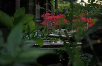 常楽寺の写真・動画_image_96570