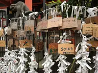 善国寺の写真・動画_image_96594