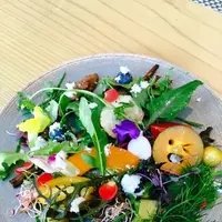 旬彩じぱんぐ (春吉,懐石料理,コース料理,接待,おすすめ,人気)の写真・動画_image_96771