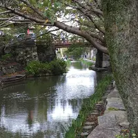 八幡堀の写真・動画_image_96955