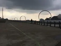 レ・マシーン・ド・リル（Les Machines de l'Ile Nantes）の写真・動画_image_97078