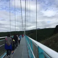 三島スカイウォークの写真・動画_image_97151