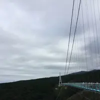 三島スカイウォークの写真・動画_image_97152