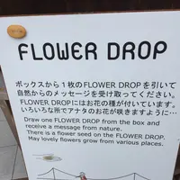 三島スカイウォークの写真・動画_image_97157