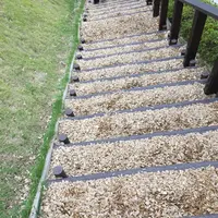三島スカイウォークの写真・動画_image_97159