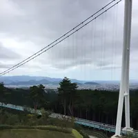三島スカイウォークの写真・動画_image_97160