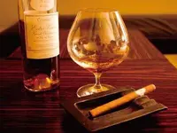 BACCHUS BASSINの写真・動画_image_97239