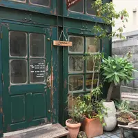 フェローズの写真・動画_image_97383