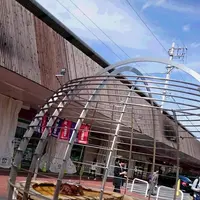 別府駅の写真・動画_image_97428