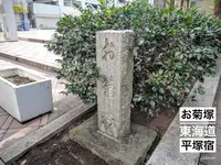 平塚市博物館の写真・動画_image_97456