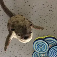北高架商店街の写真・動画_image_97613