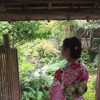 嵐山よしむらの写真・動画_image_97693