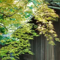 哲学堂公園の写真・動画_image_97896