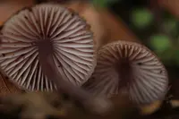 大江小学校の写真・動画_image_97934