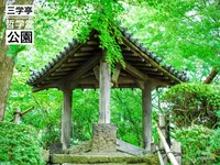 哲学堂公園の写真・動画_image_98022