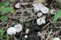 大江へき地保育所の写真・動画_image_98131