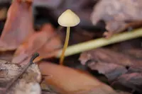 大江へき地保育所の写真・動画_image_98135