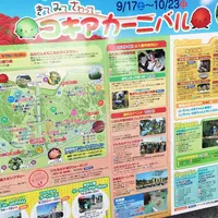 国営ひたち海浜公園の写真・動画_image_98387