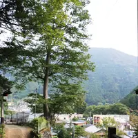 奥多摩駅の写真・動画_image_98460