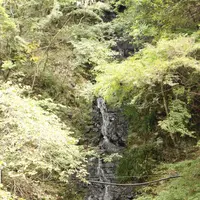 白髭大岩の写真・動画_image_98462