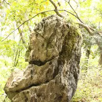 白髭大岩の写真・動画_image_98464