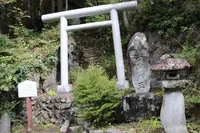 いろは楓の巨樹の写真・動画_image_98467