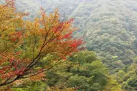 浅間神社の写真・動画_image_98471