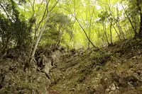 浅間神社の写真・動画_image_98473