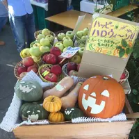 チョビアグリの写真・動画_image_98489