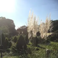 馬事公苑の写真・動画_image_98492