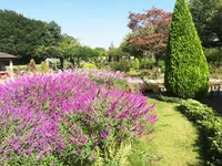 馬事公苑の写真・動画_image_98496