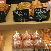 まるごとにっぽんの写真・動画_image_98525