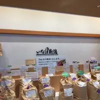 まるごとにっぽんの写真・動画_image_98532