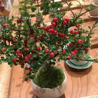 まるごとにっぽんの写真・動画_image_98538