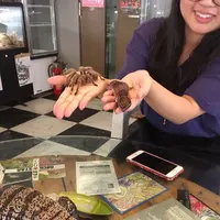 爬虫類カフェ ROCK STARの写真・動画_image_98666